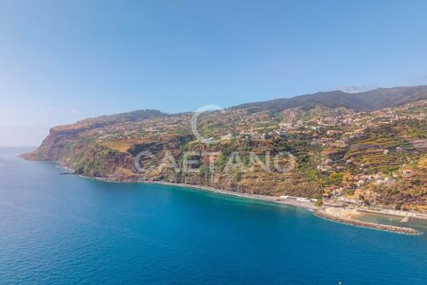 Terra a Calheta, Madeira, Calheta - € 650.000 | Ref: 1572 - foto 27