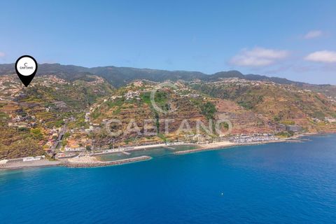 Terra a Calheta, Madeira, Calheta - € 650.000 | Ref: 1572 - foto 28