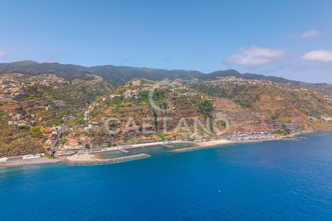 Terra a Calheta, Madeira, Calheta - € 650.000 | Ref: 1572 - foto 29