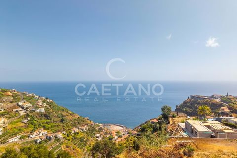Terra a Calheta, Madeira, Calheta - € 650.000 | Ref: 1572 - foto 33