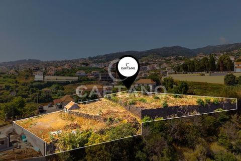 Terra a Calheta, Madeira, Calheta - € 650.000 | Ref: 1572 - foto 34