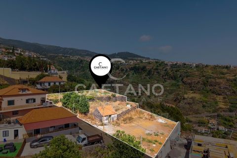 Terra a Calheta, Madeira, Calheta - € 650.000 | Ref: 1572 - foto 37