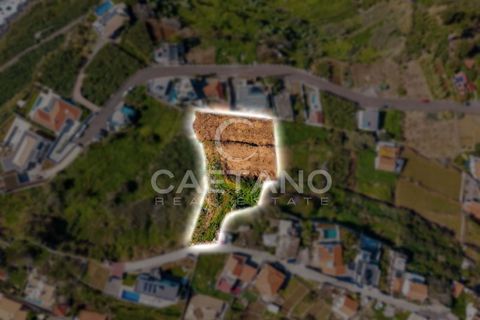 Helårsgrund i Ponta do Sol, Madeira, Ponta do Sol - € 695.000 | Ref: 1570 - foto 3