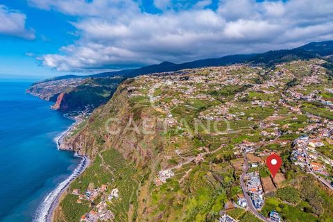 Helårsgrund i Ponta do Sol, Madeira, Ponta do Sol - € 695.000 | Ref: 1570 - foto 5
