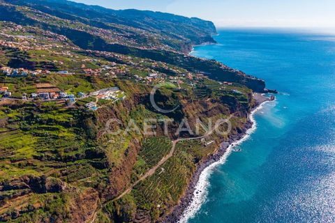 Helårsgrund i Ponta do Sol, Madeira, Ponta do Sol - € 695.000 | Ref: 1570 - foto 8