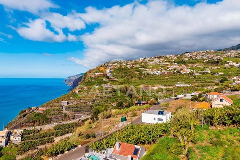 Helårsgrund i Ponta do Sol, Madeira, Ponta do Sol - € 695.000 | Ref: 1570 - foto 15