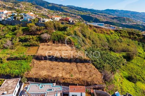 Helårsgrund i Ponta do Sol, Madeira, Ponta do Sol - € 695.000 | Ref: 1570 - foto 16