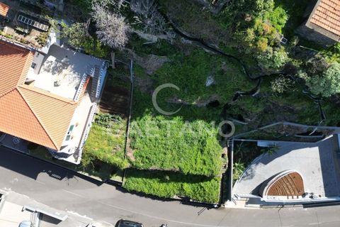 Villa i Calheta, Madeira, Calheta - € 820.000 | Ref: 1249 - foto 20