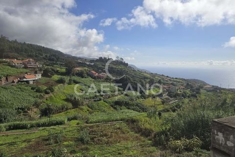 Helårsgrund i Ponta do Sol, Madeira, Ponta do Sol - € 80.000 | Ref: 1463 - foto 6