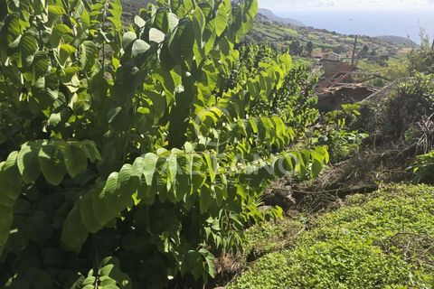 Helårsgrund i Ponta do Sol, Madeira, Ponta do Sol - € 80.000 | Ref: 1463 - foto 7