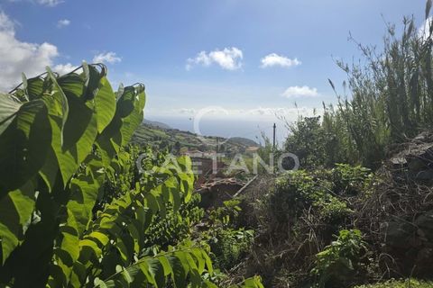 Helårsgrund i Ponta do Sol, Madeira, Ponta do Sol - € 80.000 | Ref: 1463 - foto 8