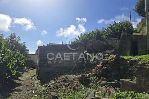 Helårsgrund i Ponta do Sol, Madeira, Ponta do Sol - € 80.000 | Ref: 1463 - foto 9