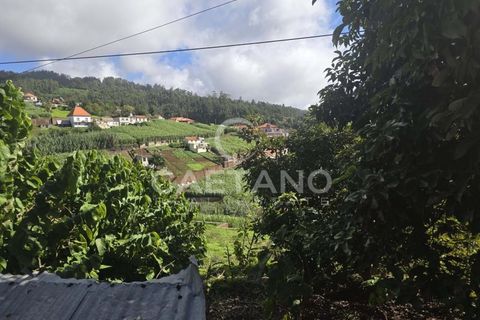 Helårsgrund i Ponta do Sol, Madeira, Ponta do Sol - € 80.000 | Ref: 1463 - foto 11