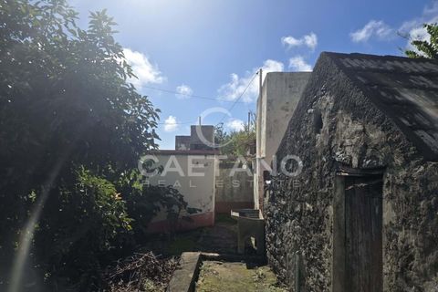 Helårsgrund i Ponta do Sol, Madeira, Ponta do Sol - € 80.000 | Ref: 1463 - foto 12