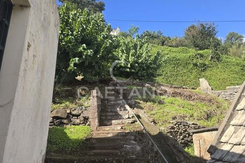Helårsgrund i Ponta do Sol, Madeira, Ponta do Sol - € 80.000 | Ref: 1463 - foto 14