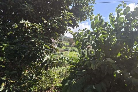 Helårsgrund i Ponta do Sol, Madeira, Ponta do Sol - € 80.000 | Ref: 1463 - foto 15