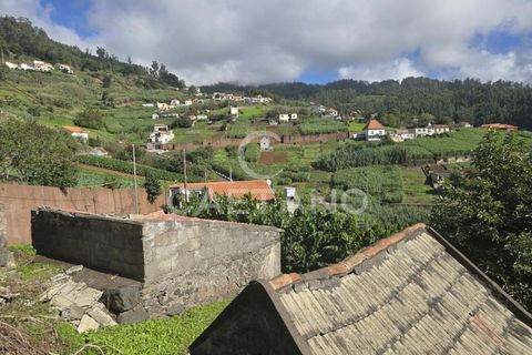 Helårsgrund i Ponta do Sol, Madeira, Ponta do Sol - € 80.000 | Ref: 1463 - foto 18