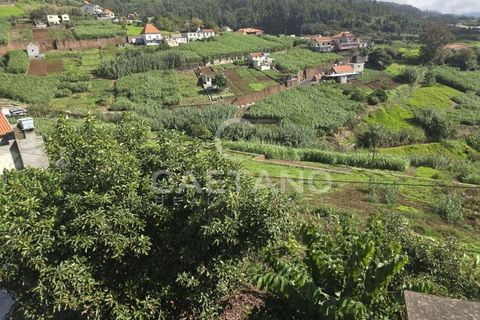 Helårsgrund i Ponta do Sol, Madeira, Ponta do Sol - € 80.000 | Ref: 1463 - foto 19