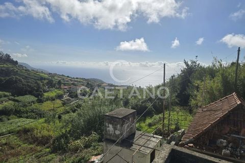 Helårsgrund i Ponta do Sol, Madeira, Ponta do Sol - € 80.000 | Ref: 1463 - foto 20