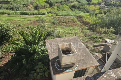 Helårsgrund i Ponta do Sol, Madeira, Ponta do Sol - € 80.000 | Ref: 1463 - foto 21