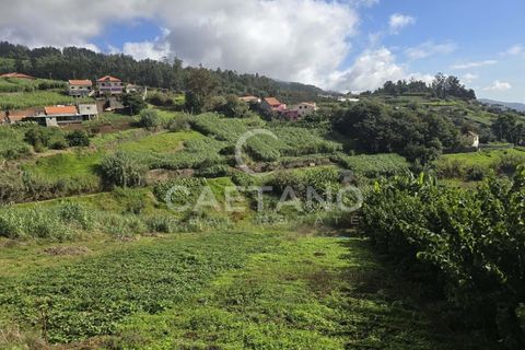 Helårsgrund i Ponta do Sol, Madeira, Ponta do Sol - € 80.000 | Ref: 1463 - foto 22