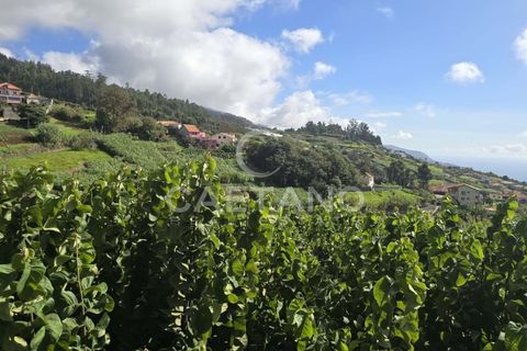 Helårsgrund i Ponta do Sol, Madeira, Ponta do Sol - € 80.000 | Ref: 1463 - foto 23