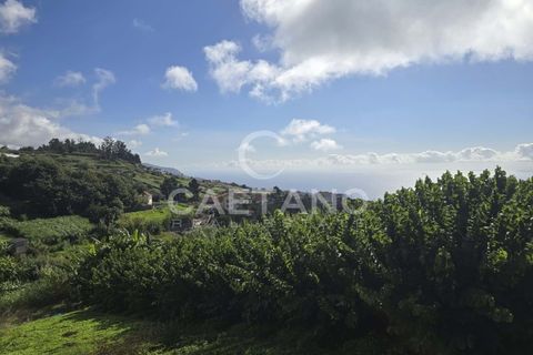 Helårsgrund i Ponta do Sol, Madeira, Ponta do Sol - € 80.000 | Ref: 1463 - foto 25