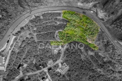 Helårsgrund i Calheta, Madeira, Calheta - € 550.000 | Ref: 1193 - foto 3