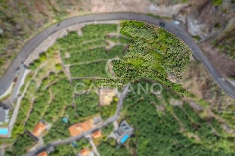 Helårsgrund i Calheta, Madeira, Calheta - € 550.000 | Ref: 1193 - foto 4