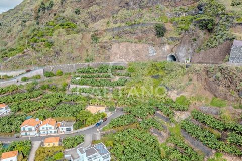 Helårsgrund i Calheta, Madeira, Calheta - € 550.000 | Ref: 1193 - foto 7