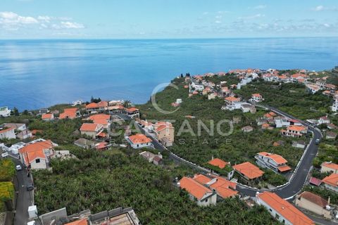 Villa i Ponta do Sol, Madeira, Ponta do Sol - € 1.450.000 | Ref: 784 - foto 3