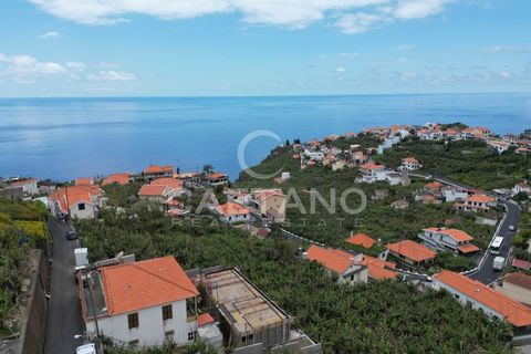 Villa i Ponta do Sol, Madeira, Ponta do Sol - € 1.450.000 | Ref: 784 - foto 24
