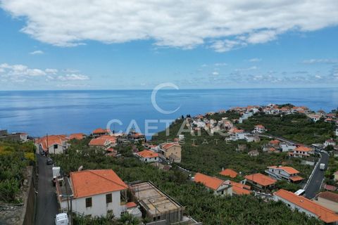 Villa i Ponta do Sol, Madeira, Ponta do Sol - € 1.450.000 | Ref: 784 - foto 25