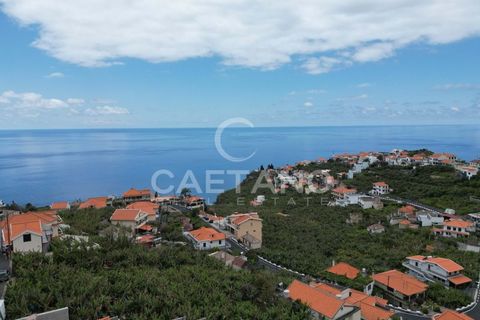 Villa i Ponta do Sol, Madeira, Ponta do Sol - € 1.450.000 | Ref: 784 - foto 26
