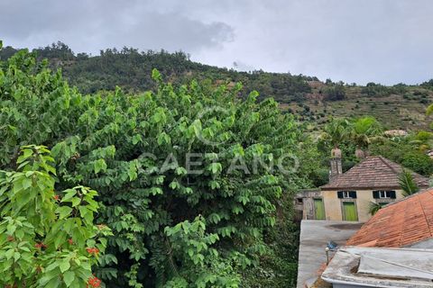 Helårsgrund i Arco da Calheta, Madeira, Arco da Calheta - € 480.000 | Ref: 870 - foto 2
