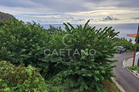 Helårsgrund i Arco da Calheta, Madeira, Arco da Calheta - € 480.000 | Ref: 870 - foto 3