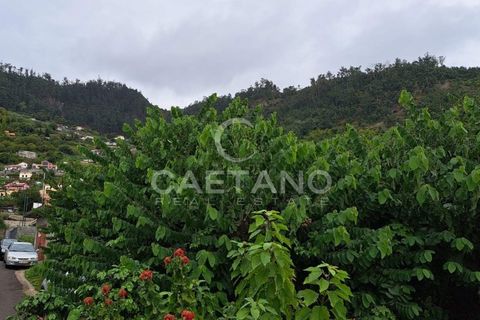 Helårsgrund i Arco da Calheta, Madeira, Arco da Calheta - € 480.000 | Ref: 870 - foto 6
