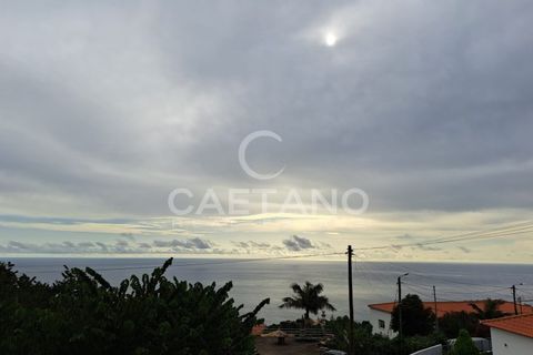 Helårsgrund i Arco da Calheta, Madeira, Arco da Calheta - € 480.000 | Ref: 870 - foto 7