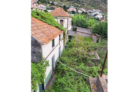 Helårsgrund i Arco da Calheta, Madeira, Arco da Calheta - € 480.000 | Ref: 870 - foto 10