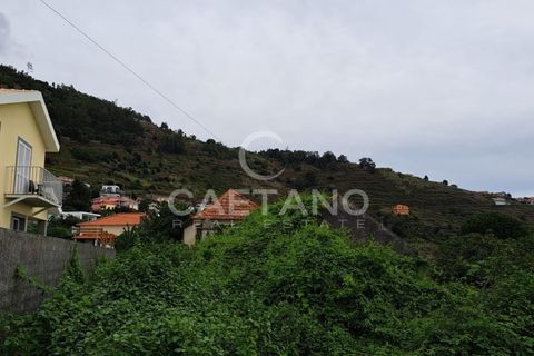 Helårsgrund i Arco da Calheta, Madeira, Arco da Calheta - € 480.000 | Ref: 870 - foto 13