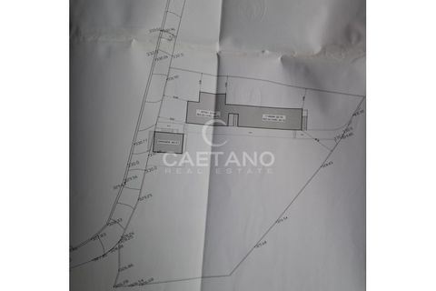 Helårsgrund i Arco da Calheta, Madeira, Arco da Calheta - € 480.000 | Ref: 870 - foto 15