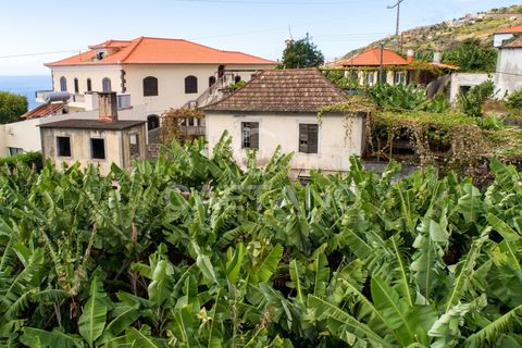 Villa i Arco da Calheta, Madeira, Arco da Calheta - € 320.000 | Ref: 645 - foto 2