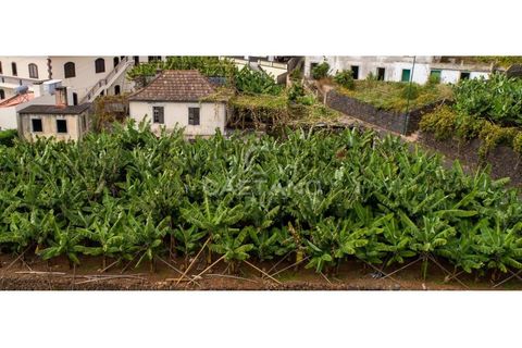 Villa i Arco da Calheta, Madeira, Arco da Calheta - € 320.000 | Ref: 645 - foto 3