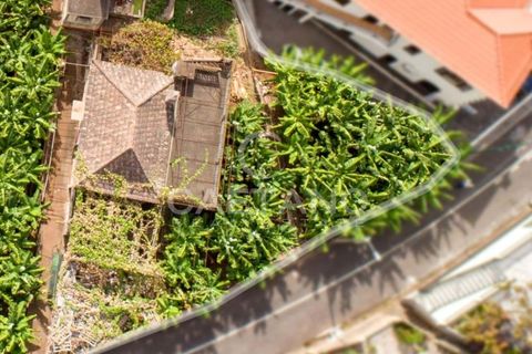 Villa i Arco da Calheta, Madeira, Arco da Calheta - € 320.000 | Ref: 645 - foto 4