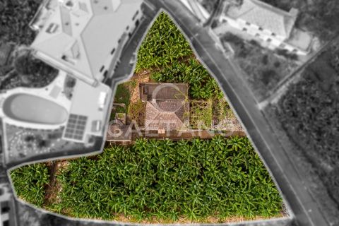 Villa i Arco da Calheta, Madeira, Arco da Calheta - € 320.000 | Ref: 645 - foto 5