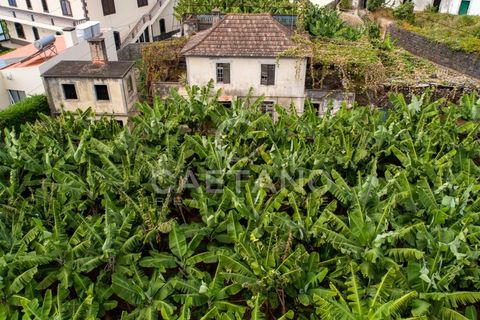 Villa i Arco da Calheta, Madeira, Arco da Calheta - € 320.000 | Ref: 645 - foto 6