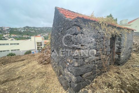 Helårsgrund i Ribeira Brava, Madeira, Ribeira Brava - € 245.000 | Ref: 3159 - foto 9