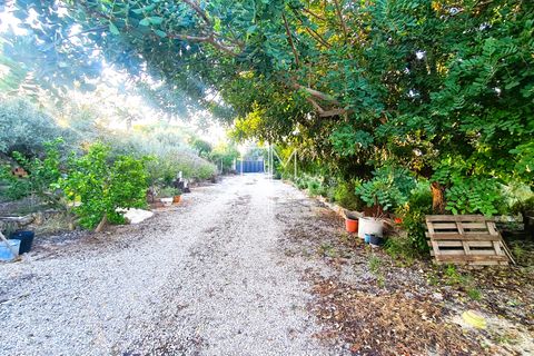Villa i Barxeta, Valencia, Barxeta - € 222.000 | Ref: LLJul11 - foto 21