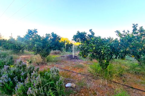 Villa i Barxeta, Valencia, Barxeta - € 222.000 | Ref: LLJul11 - foto 4