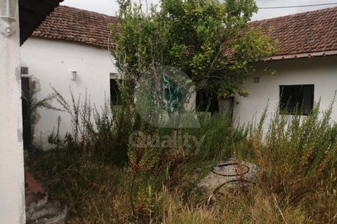 Villa a Alcanena, Santarem, Alcanena - € 189.000 | Ref: QRPP2315 - foto 24